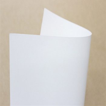Giấy Thuận An | Giấy Kraft Trắng